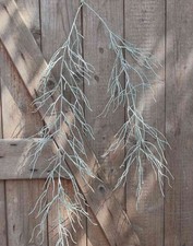 artplants Kunst Tillandsia