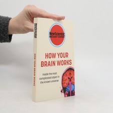 How Your Brain Works  |  New