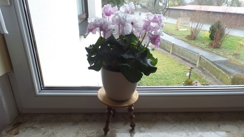 Einen blumenhocker - einen,