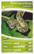 Netto     Ozeanien 2        "