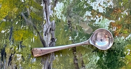 Winziger salz löffel - salz,