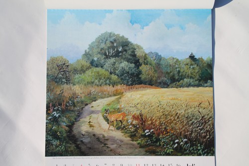 Rehbock kunstdruck 37 - rehbock, x