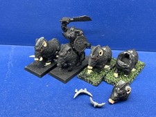 1 Wildschweinreiter + 3