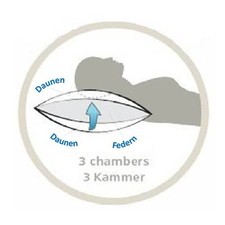 Kissen 3-Kammerkissen Kopfkissen Füllung 1600Gramm Daunen-Federn 80x80cm