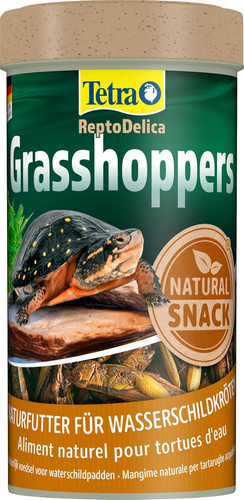 Tetra reptodelica grasshoppers - tetra,