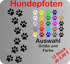12 Hundepfoten Pfoten Hund