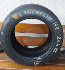 Michelin 24h Rennen Pilot