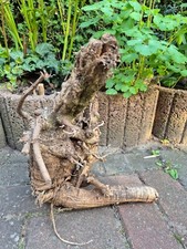 Skulptur wurzel stamm - , holz