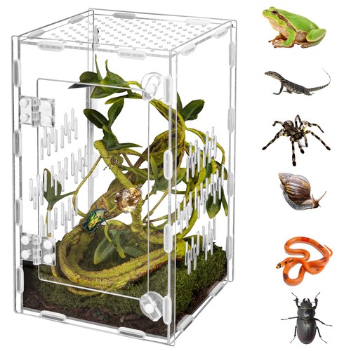 Acrylic reptile terrarium easy - terrarium,