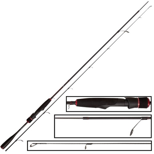 Quantum magic trout cito - quantum,