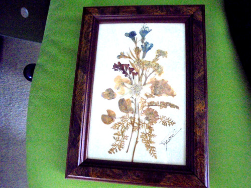 Trockenblumen bild mit rahmen - bild,