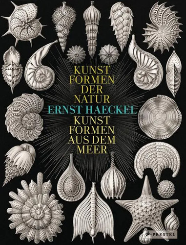 Ernst haeckel kunstformen - haeckel, |