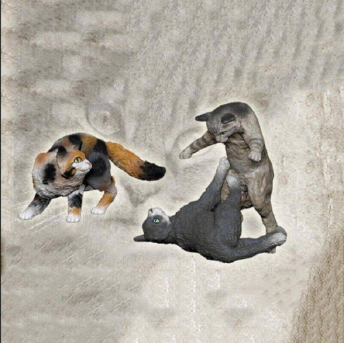 Resin animals model kit - 1/35,