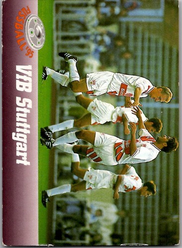 Vfb stuttgart panini - -,
