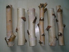 6 x Birke Holz Deko Basteln Länge ca. 26-29 cm Durchm. ca. 4,5-6 cm - s. Fotos