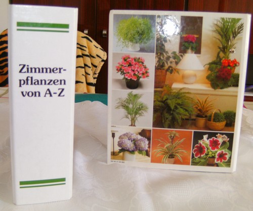 Zimmerpflanzen von bis 2 - von,
