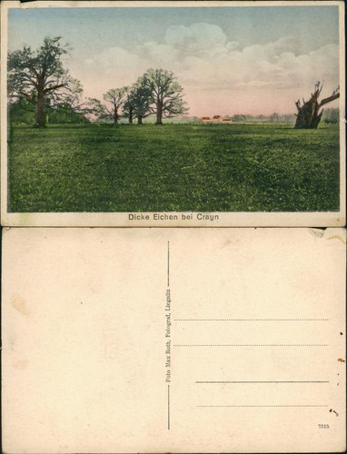Postcard krayn crayn - postcard,