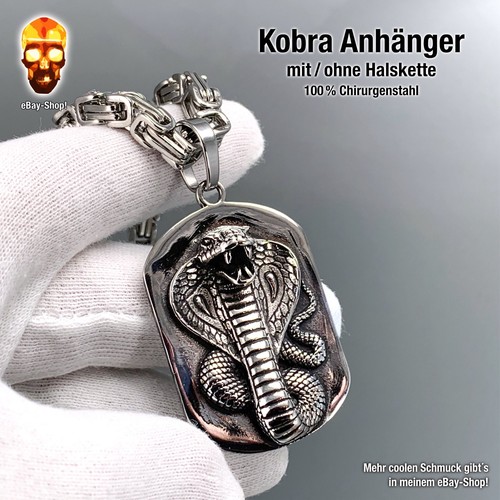 Königs kobra schlange - königs,