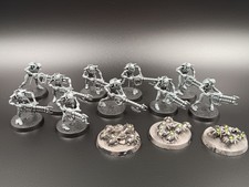 Necrons 10 Krieger Warrior