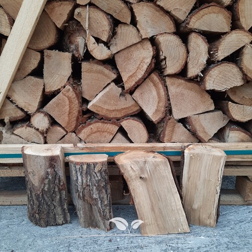 Brennholz eiche palette von - eiche,