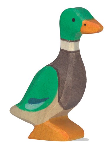 Erpel von holztiger ente - von,