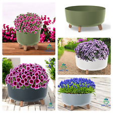 Blumentopf Schale mit Füßen Kräutertopf Übertopf BETON Optik 6 Größen bis 40 cm