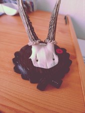 A-06 - 3  Jagdtrophäen Brett