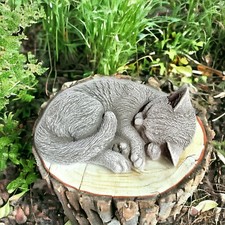 Schöne liegende Katze Luna -