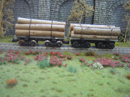 Spectrum waldbahn - ho,