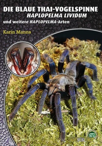 Die blaue thai vogelspinne - die, thai-vogelspinne