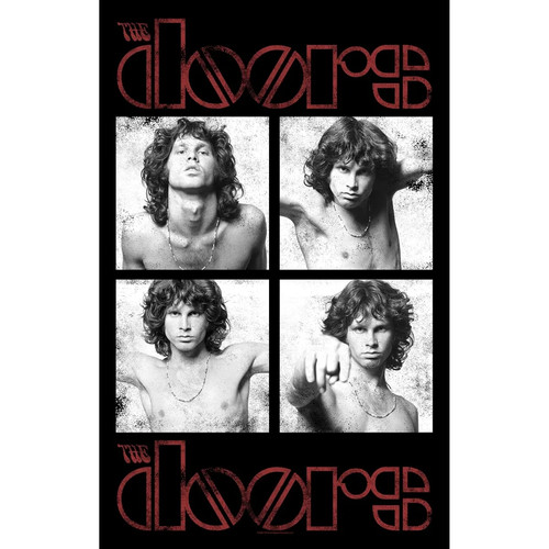The doors jim morrison - the,