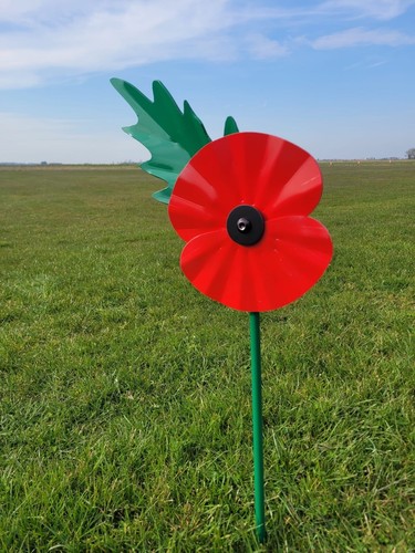 Remembrance day red - red,