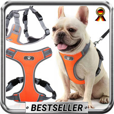 Hundegeschirr mit Leine Set