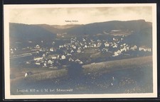 Ansichtskarte Lenzkirch