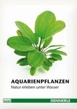 Aquarienpflanzen von Hummel