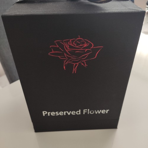 Preserved flower infinity rose - infinity,