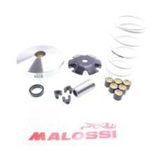 Variomatik Malossi Multivar