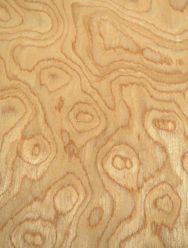 Eiche maser wurzelholz furnier - eiche,
