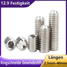 Ringschneide Gewindestift