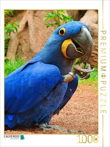 Calvendo puzzle verspielter - calvendo,