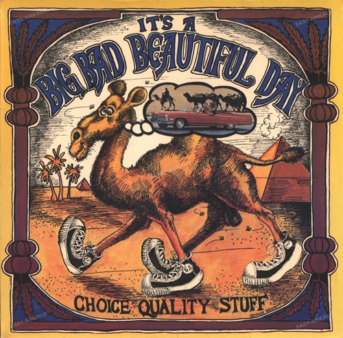 Beautiful day choice - -,