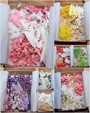 Trockenblumenbox getrocknete