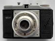 Dangelmeier Dacora digna