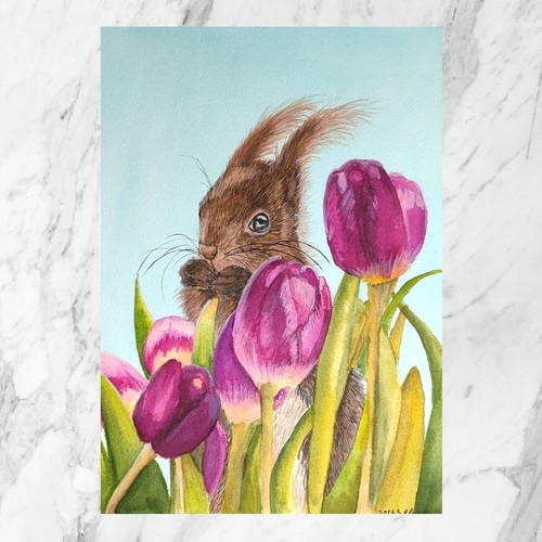 Eichhörnchen tulpenfeld - im,