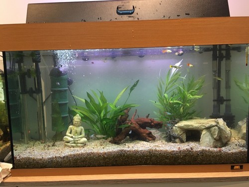 Aquarium 120l komplett - aquarium, 120l,