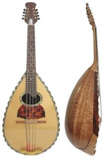 Solid Curly Maple wood &