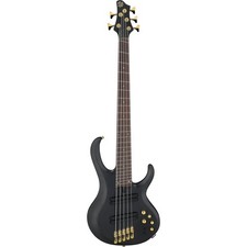E-Bass Ibanez Bass Workshop