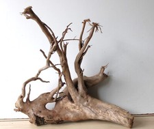Treibholz Schwemmholz Driftwood 1 XXL   Wurzel Dekoration Terrarium 53 cm hoch