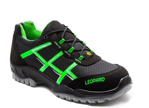 Leopard e0435 - leopard,