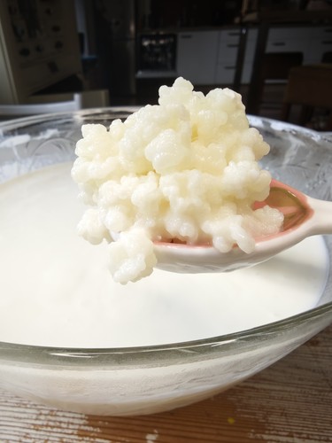 Bio kefir aktive - kefir,